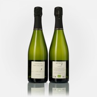 Cuvée Temporis Extra Brut