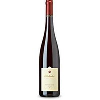 Spätburgunder Muschelkalk bio trocken