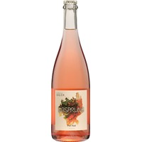 Ursprung rose - Pet Nat BIO - Weingut Familie Bauer