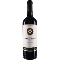 Torres Santa Digna Carmenere Reserva