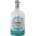 Distilleria Rau Genesi Distilled Gin 0,7 l 