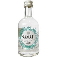 Distilleria Rau Genesi Distilled Gin Kleinflasche 0,1 l