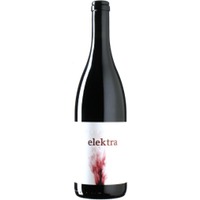 Blaufränkisch Elektra