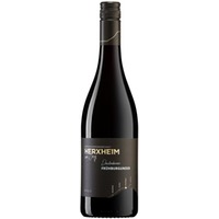 Dackenheimer Frühburgunder Rotwein trocken I 2022 Frühburgunder