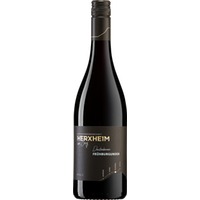 PLATEAU Dackenheimer Frühburgunder trocken - Winzergenossenschaft Herxheim am Berg