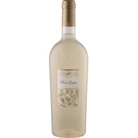 Tenuta Ulisse ULISSE Pinot Grigio Premium - 6Fl. á 0,75l