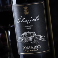 Ciliegiolo Umbria Bio