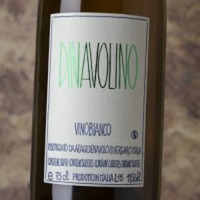 Dinavolino