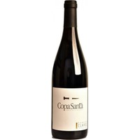 Domaine Pierre Clavel Coteaux du Languedoc Copa Santa - 6Fl. á 0,75l