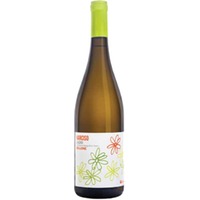 Federici Bellone Bianco Lazio IGT