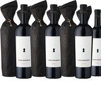 Three Dreamers Montepulciano Appassimento