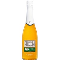 Puccini Cocktail 0,75l 5% | Canella