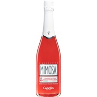 Mimosa Cocktail 0,75l 5% | Canella