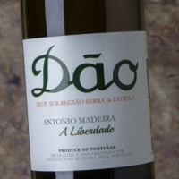 Antonio Madeira A Liberdade