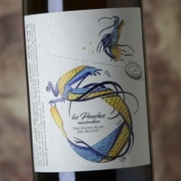 François Saint-Lô Les Pouches Macération