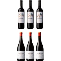Palacios Remondo-Rioja-Paket (6 Flaschen)