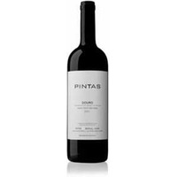 Pintas Magnum Rotwein