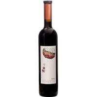 Venusto Bobal Utiel-Requena DO trocken - Bodegas Vibe