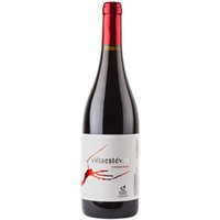 Viña Estevez Vijariego Negro Tacoronte-Acentejo DO trocken - Bodegas Viña Estevez