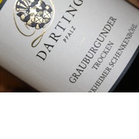 Dürkheimer Schenkenböhl Grauburgunder trocken | Darting