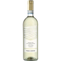 Verdicchio di Jesi DOC 2023 Terre Cortesi