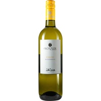Ried Steinbreiten Riesling - Weingut Frotzler