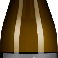 Grauburgunder Phyllit