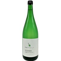 Silvaner trocken 1,0 L - Edwin Huttner