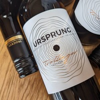 Ursprung Trollinger trocken