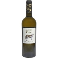 Pallagrello Bianco IGP trocken - Vigne Chigi