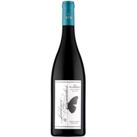 Sauvignon Blanc Ried Flamberg GSTK Südsteiermark DAC