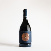 Rosso da uve Appassite Terre di Chieti IGP 0,75l 14,5% - Vigna Madre
