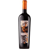 Corbières rouge Ego in Terra von Celliers d'Orfée - Ornaisons - Rotwein