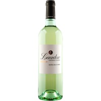 Entre-deux-Mers Bordeaux trocken von Château Lauduc - Weißwein