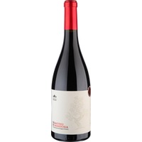 Primitivo di Manduria DOP trocken von Felline Società Agricola - Rotwein