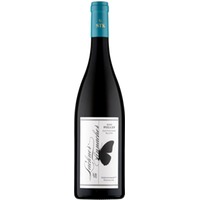 Sauvignon Blanc Ried Welles GSTK Südsteiermark DAC