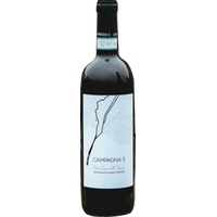 Pinot Grigio Veneto IGP trocken - Campagna 5