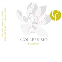 Collefrisio - Magnolia Bianco Terre di Chieti IGT