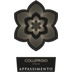 Collefrisio - Appassimento Vino Rosso 