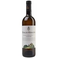 Sauvignon Blanc Ried Kirchleiten G STK BIO