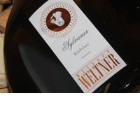 Rödelsee Sylvaner | Weltner