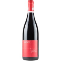 Hattenheim Pinot Noir +++ BIO