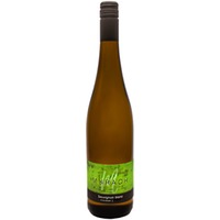 Sauvignon Blanc feinherb - Weingut Murach