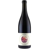 Orbis Natural Wine rot