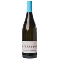 Sauvignon Blanc QW trocken -