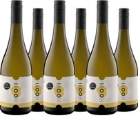 NOOVI Fizz - alkoholfreier Sparkler