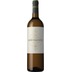 José Pariente Sauvignon Blanc, Rueda DO, Kastilien - León, 2023, Weißwein 