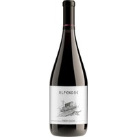 Alpendre Merenzao Ribeira Sacra DO trocken - Ronsel do Sil