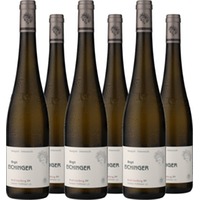 Birgit Eichinger Grüner Veltliner Ried Strasser Gaisberg Erste Lage Kamptal DAC