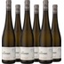 Birgit Eichinger Grüner Veltliner Ried Strasser Gaisberg Erste Lage Kamptal DAC 